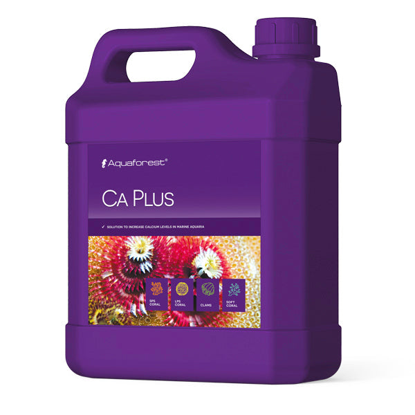 Ca Plus