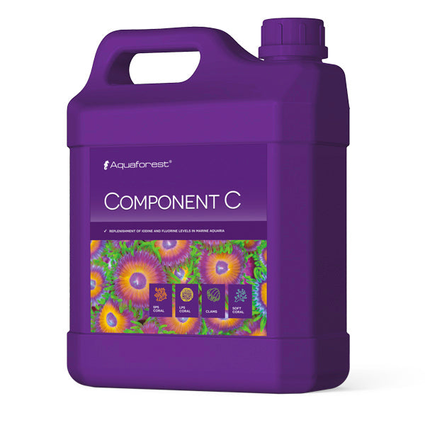 Component C