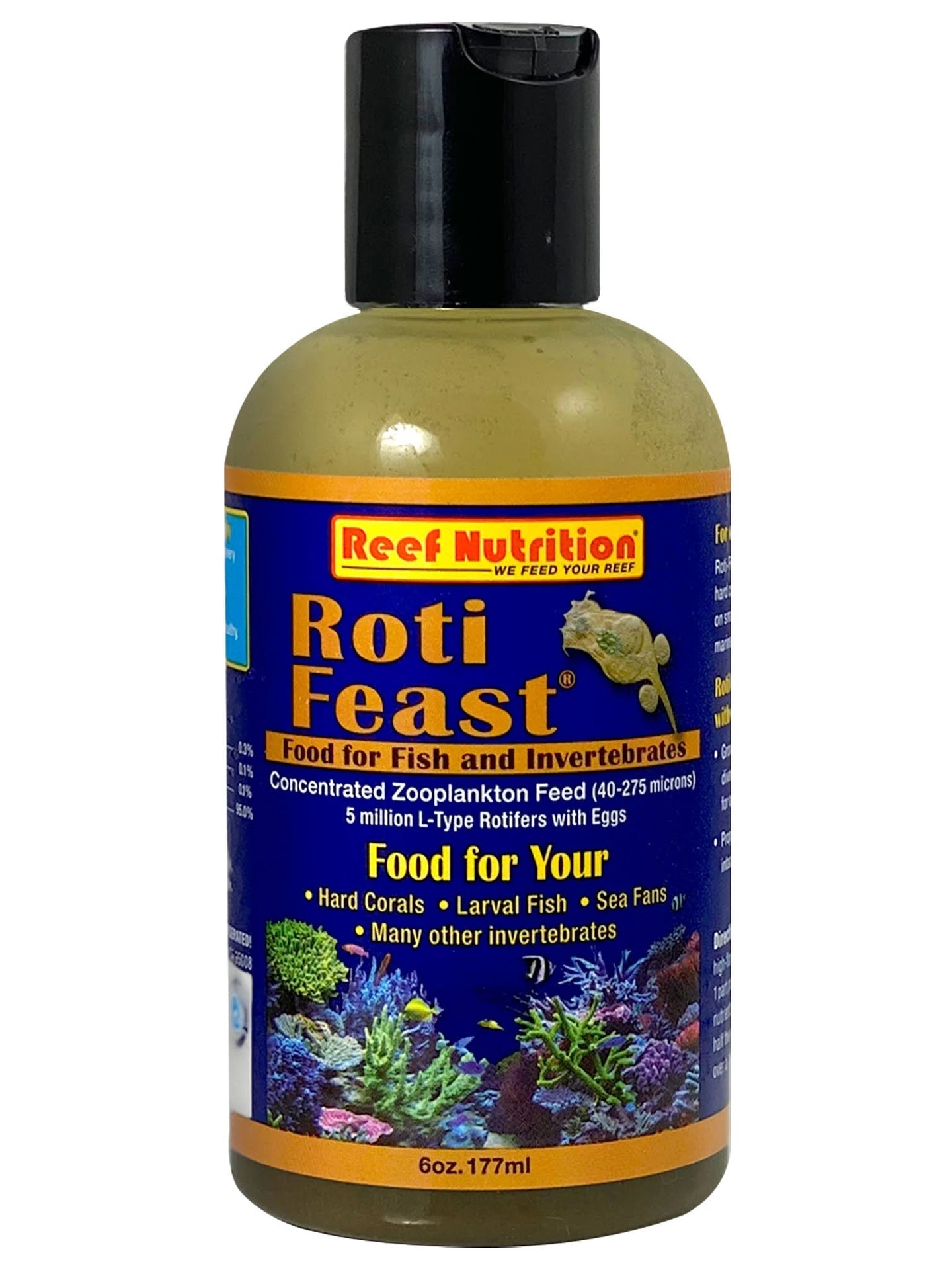 Roti Feast