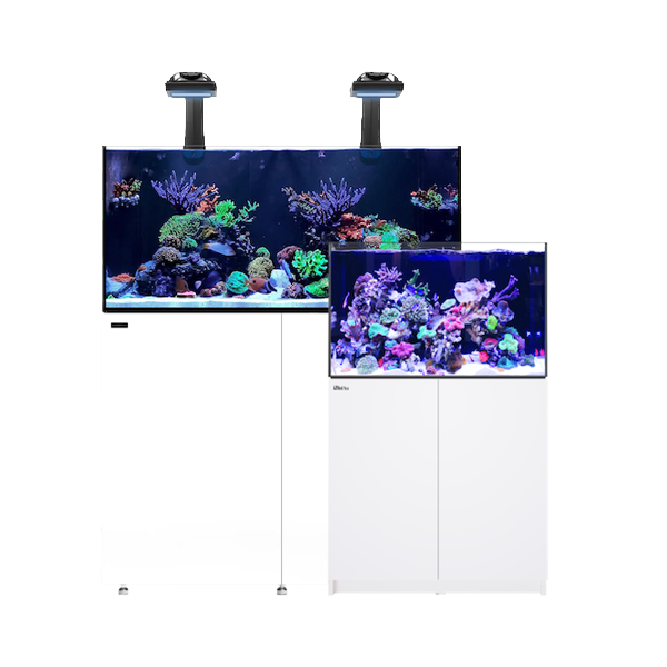 Aquariums