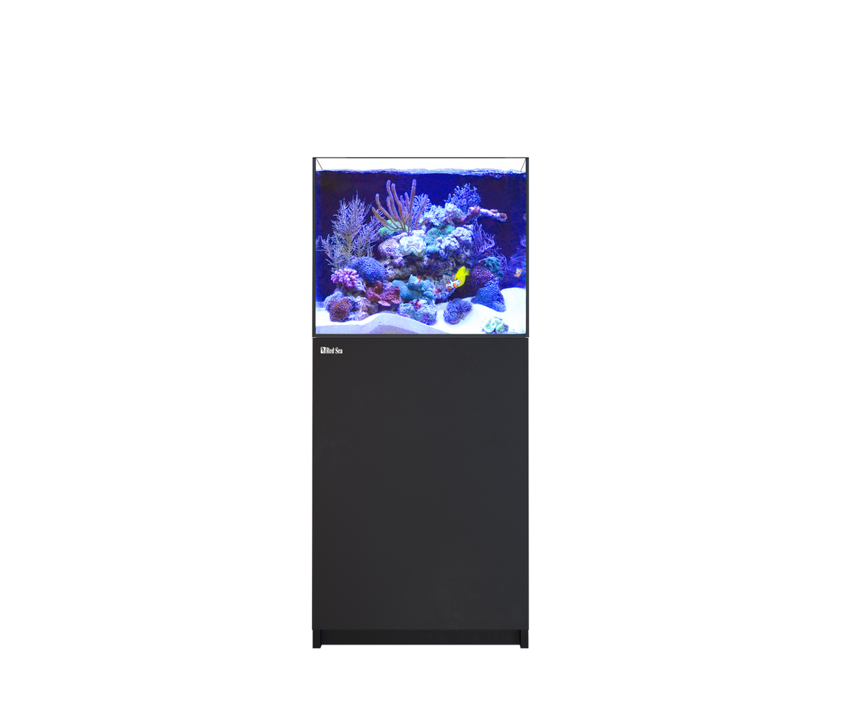 REEFER 200 G3 (42 Gallon)