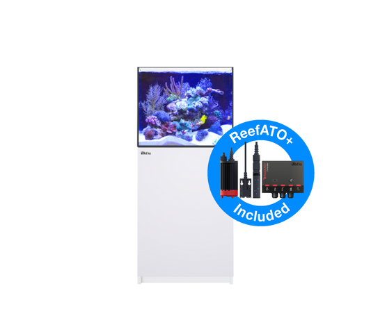 REEFER 200 G3 (42 Gallon)