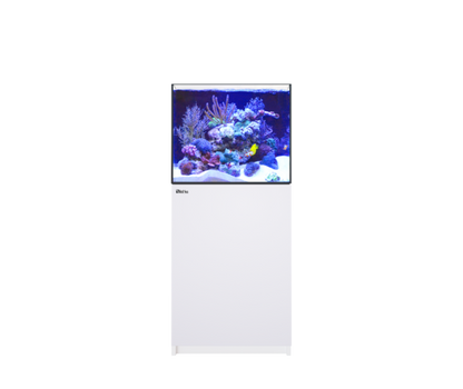 REEFER 200 G3 (42 Gallon) - Drop Ship