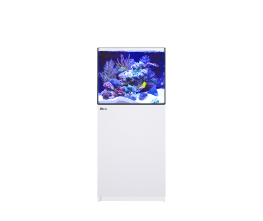 REEFER 200 G3 (42 Gallon) - Drop Ship