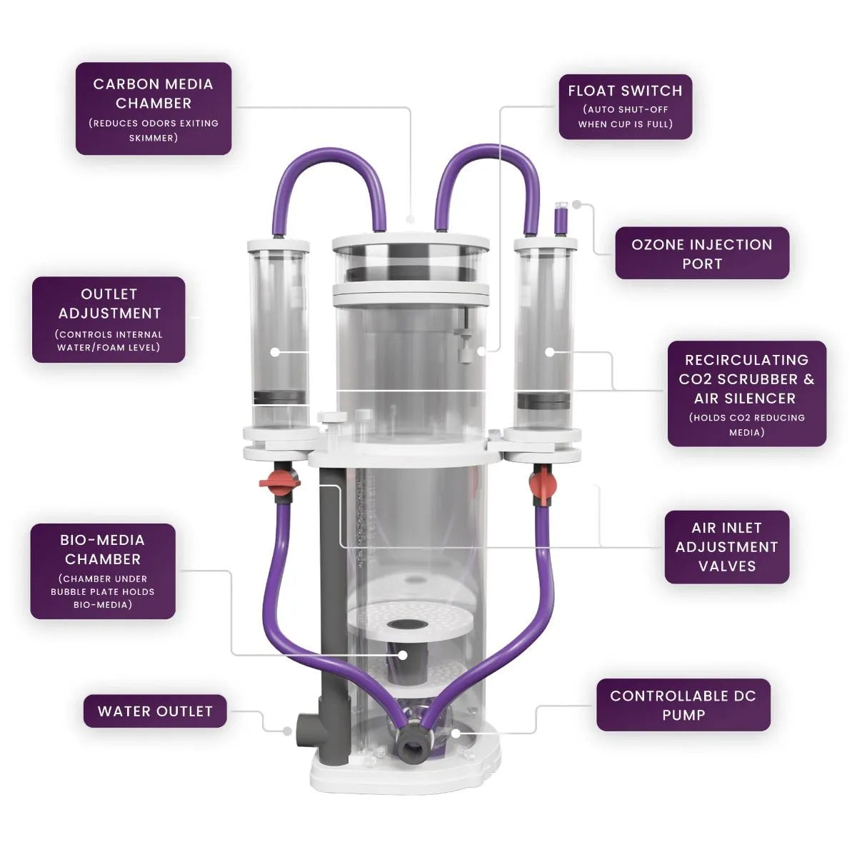AF 150 All-In Skim 4-In-1 Filtration System