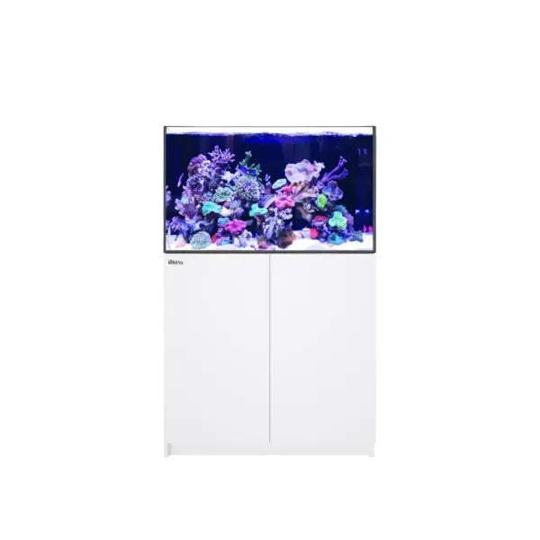 REEFER 300 G3 (65 Gallon) - Drop Ship