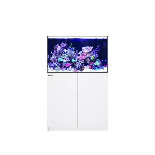 REEFER 300 G3 (65 Gallon) - Drop Ship