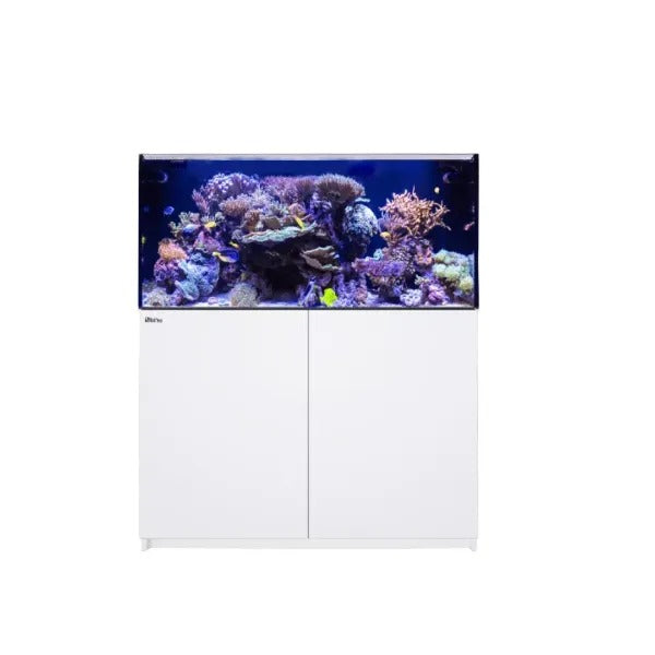 REEFER MAX 425 G3 (91 Gallon) - Drop Ship