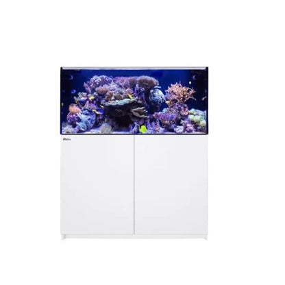 REEFER MAX 425 G3 (91 Gallon) - Drop Ship