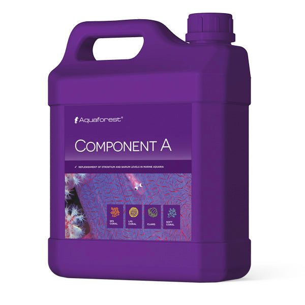 Component A