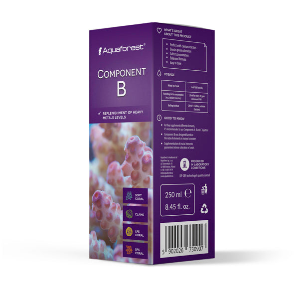 Component B
