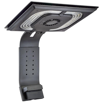Ethereal Infinite E8-230 LED Light Fixture