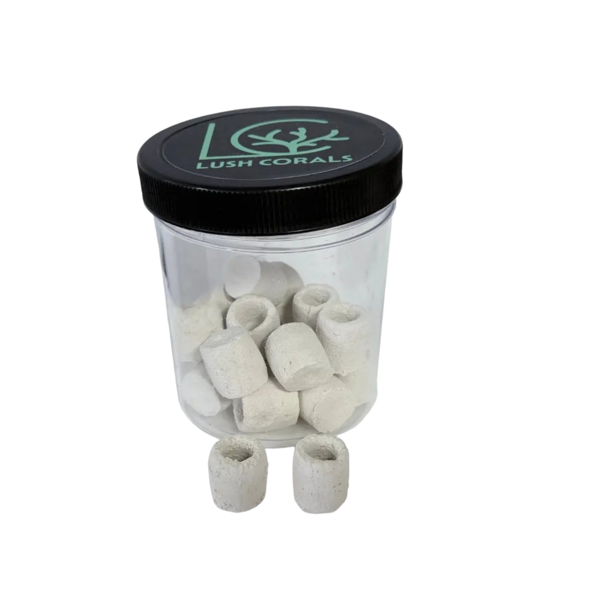 Lush Corals Frag Seat Set – 20 Count