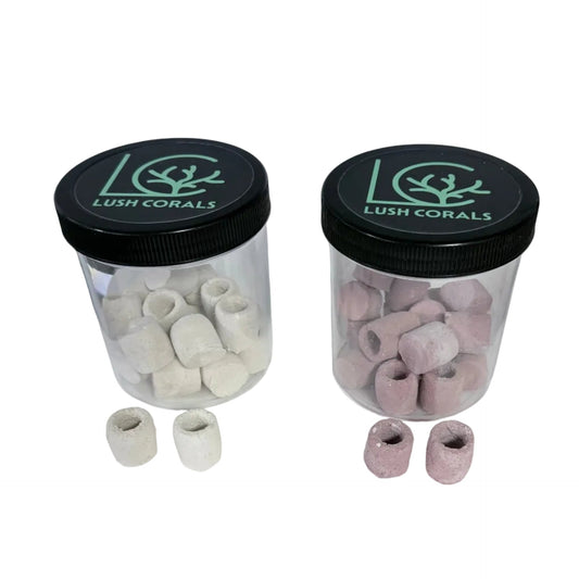 Lush Corals Frag Seat Set – 20 Count