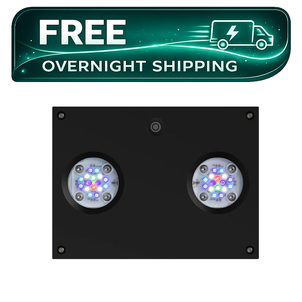 Hydra 32 HD LED Reef Light - Black Body