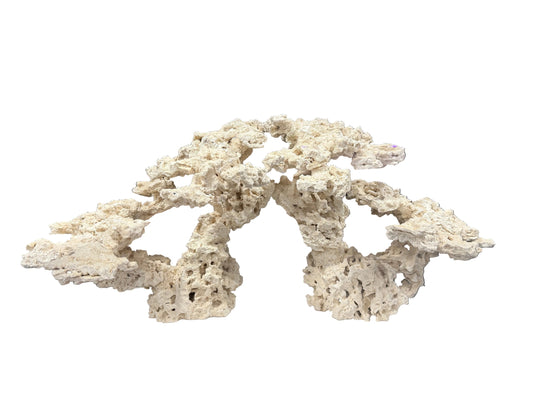 3’ Dragon Edition Structure