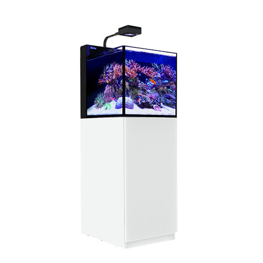MAX NANO Peninsula G2