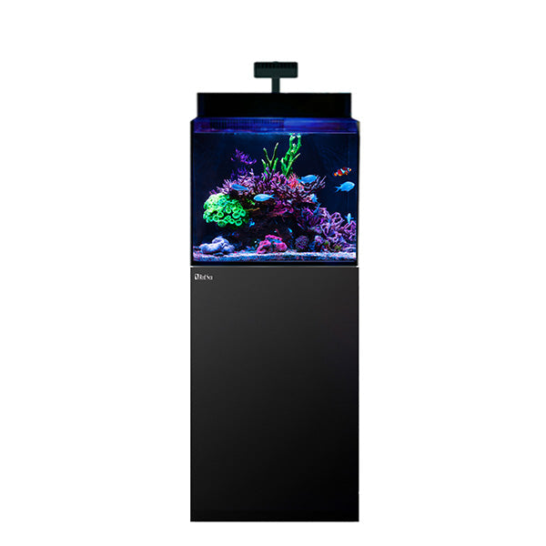 MAX NANO G2 XL