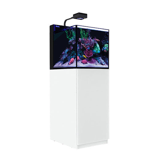 MAX NANO G2 XL