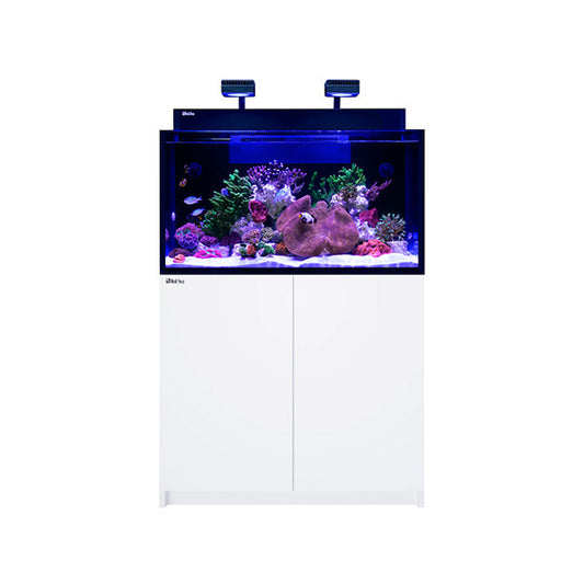MAX NANO G2 XXL