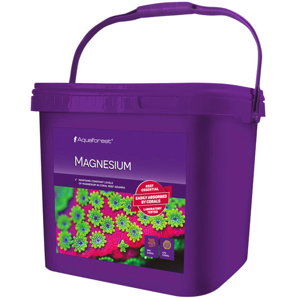 Magnesium Dry