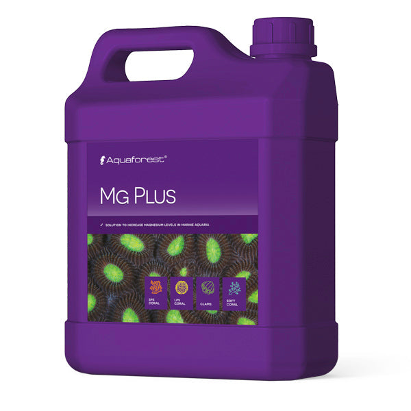 Mg Plus