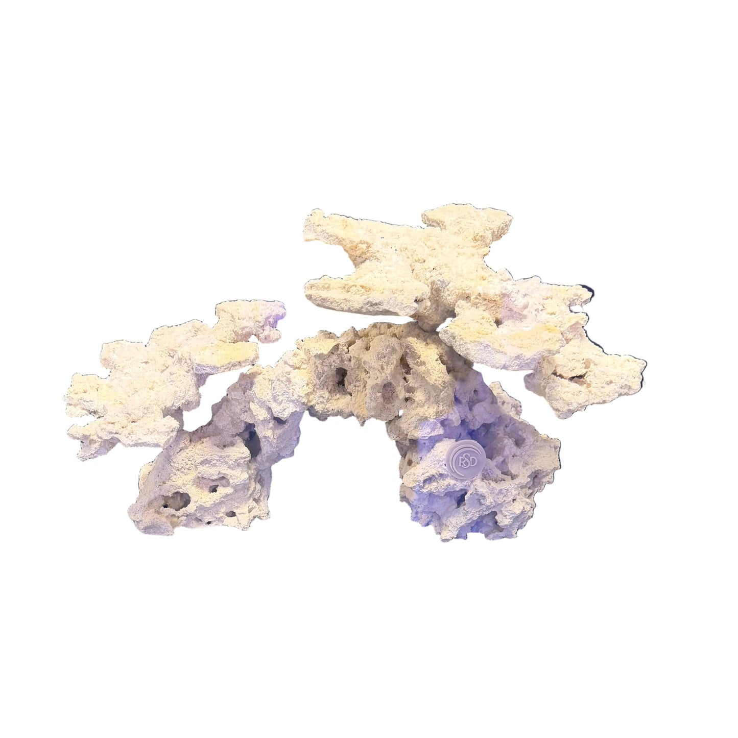 Mini Max Dragon