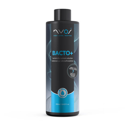 Bacto Plus