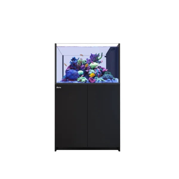 REEFER MAX Peninsula 350 G3 (73 Gallon) - Drop Ship
