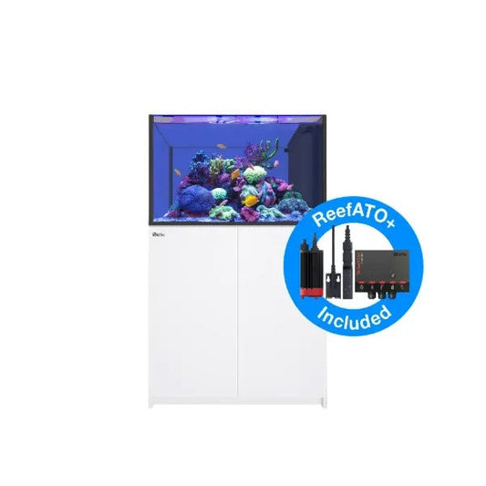 REEFER Peninsula 350 G2+ (73 Gallon)
