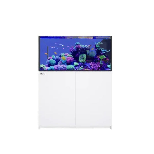REEFER Peninsula 500 G3 (109 Gallon) - Drop Ship