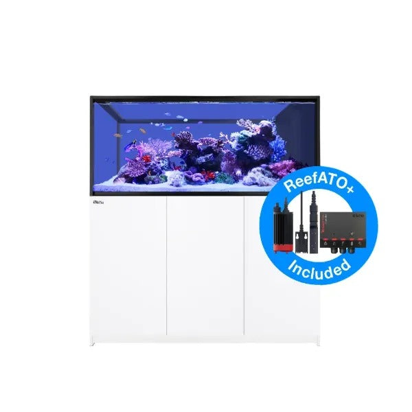 REEFER Peninsula S-700 G2+ (150 Gallon)