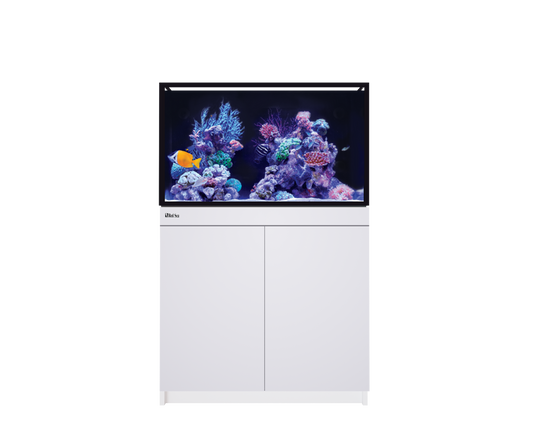 Red Sea REEF-FRAME 250 – 54 Gallons - Drop Ship