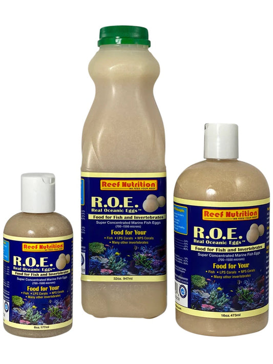 R.O.E.