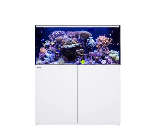 REEFER 425 G2+ (91 Gallon)