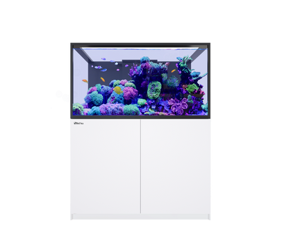 REEFER S-550 G3 (118 Gallon) - Drop Ship