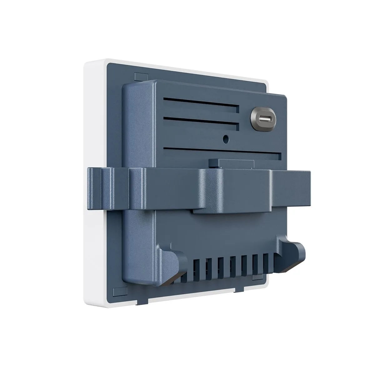 AvidAqua InSight Apex Controller Display