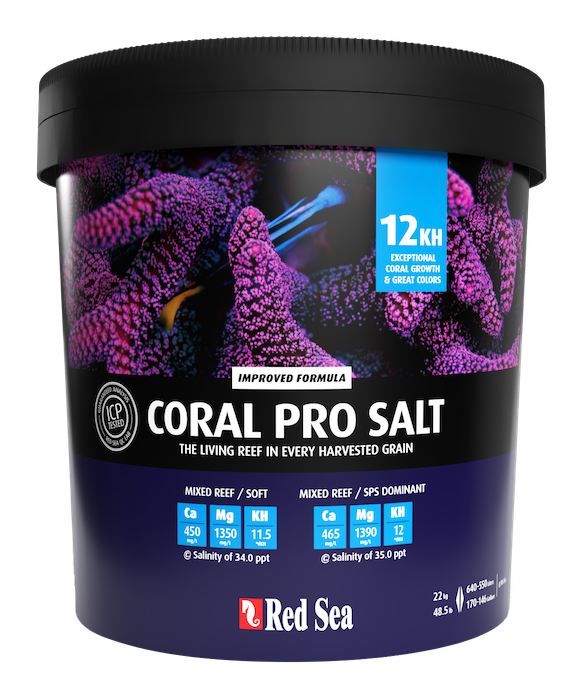 Coral Pro Salt
