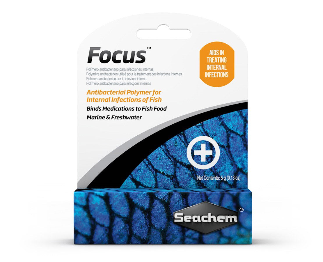 Focus 5g