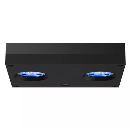 Hydra 32 HD LED Reef Light - Black Body