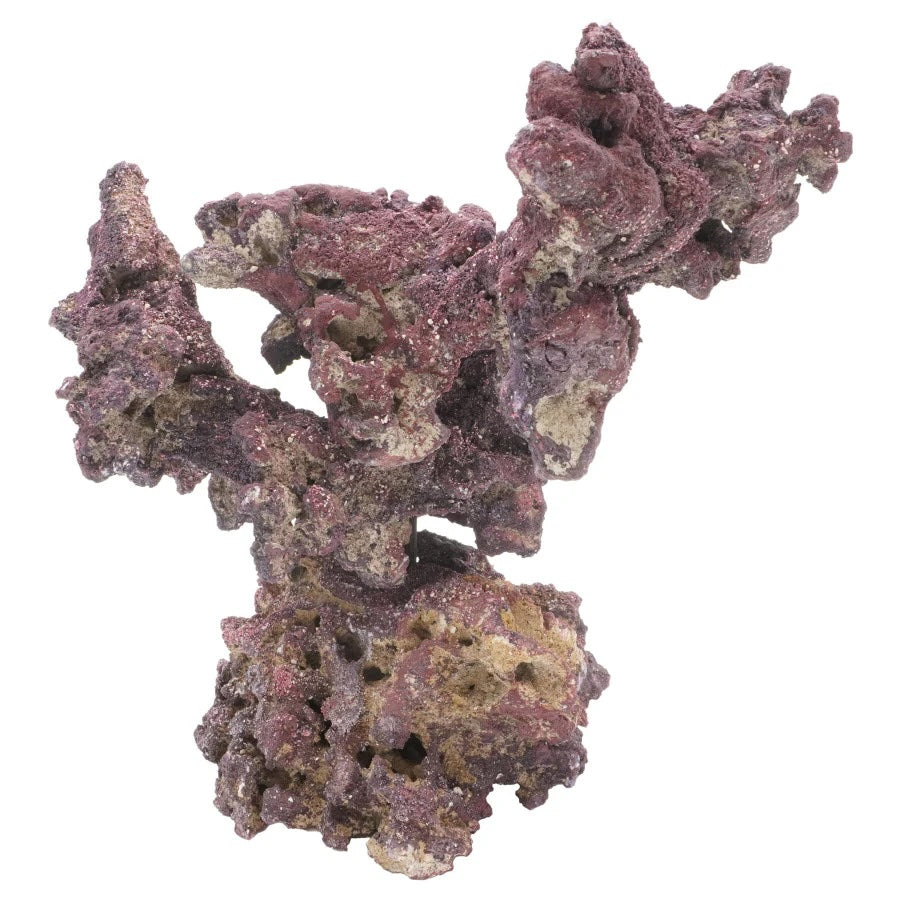 LifeRock Nano Reef Tree