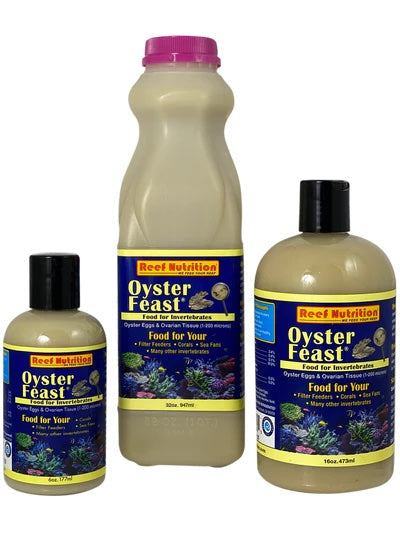 Oyster Feast