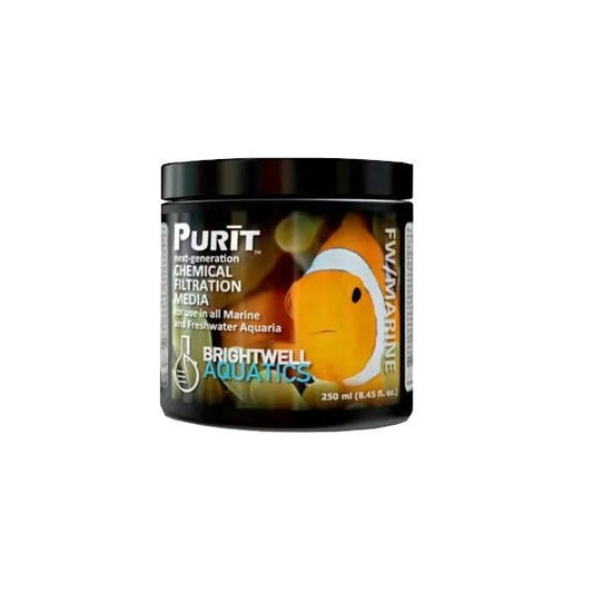 Purit
