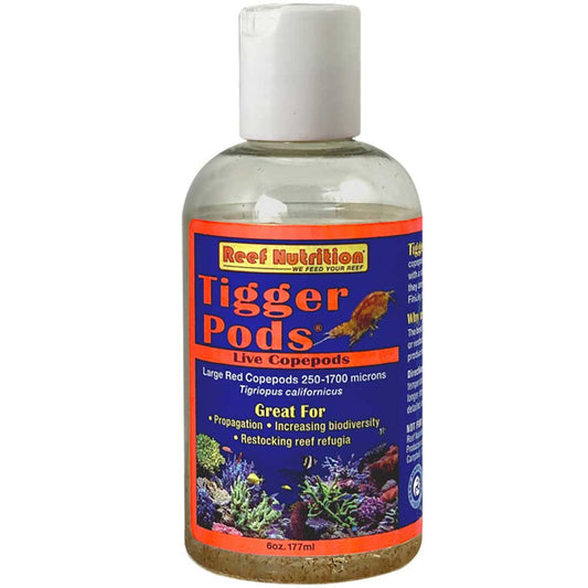 Tigger Pods Live