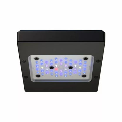 Radion XR15 G6 Blue LED Fixture