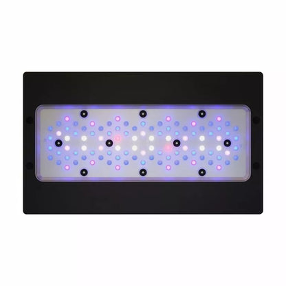 Radion XR30 G6 Blue LED Fixture