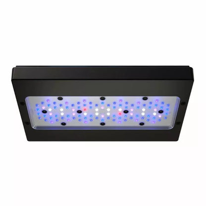 Radion XR30 G6 Blue LED Fixture