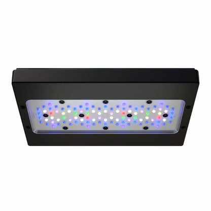 Radion XR30 G6 Pro LED Fixture